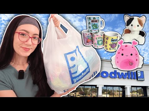 thrift with me!! I found cute plushies, home decor, and more!