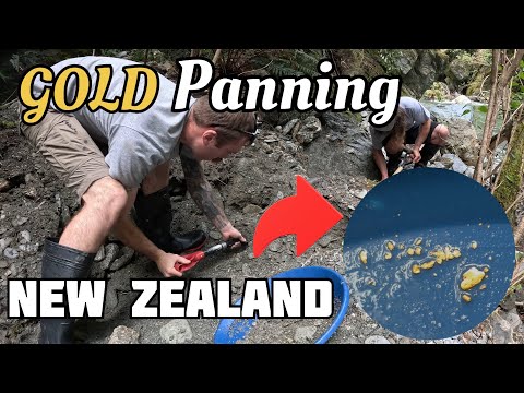 We Struck GOLD in a New Zealand River! 🤯💰