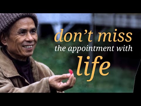 Life Is Here and Now | Teaching by Thich Nhat Hanh | #mindfulness