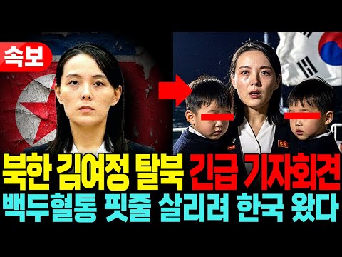 북한 2인자 김여정 탈북, 김주애 후계자 세습을 위한 숙청이 시작됐다! 백두혈통 쌍둥이 아들과 한국으로 망명한 기막힌 사연!ㅣ탈북감동사연ㅣ북한이야기ㅣ김정은ㅣ김주애ㅣ리설주ㅣ김여정