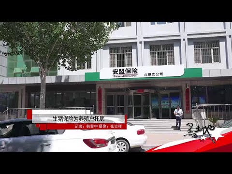 《黑土地》20250523：生豬保險為養殖戶托底