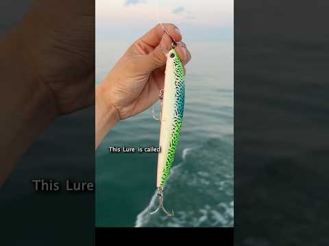 Catching $450 of Fish in 1 Hour #shorts #fishing