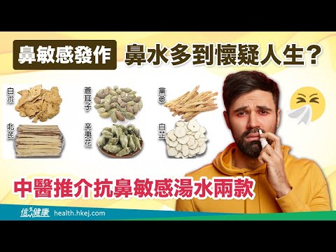 【抗鼻敏感湯水兩款】