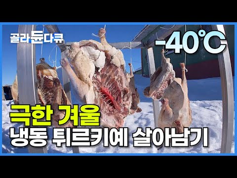 ‘영하 40도’ 온몸이 얼어붙는 추위에서 뭘 먹고 살까?┃한파에 도시는 마비? 오지는 끄떡없다! 혹한에서 사는 법┃극한 겨울 튀르키예 여행기┃세계여행┃세계테마기행┃#골라듄다큐