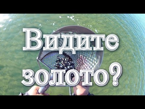 Золото на следующую поездку ЕСТЬ!/Подводный Поиск с Металлоискателем на побережье  Азовского моря/