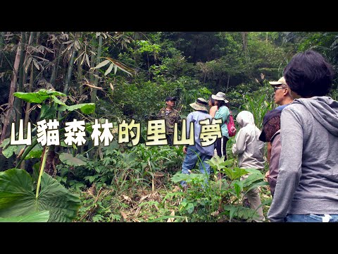 【環境信託】山貓森林的里山夢｜集資買下山林守護自然棲地 (我們的島 第1053集 2020-05-04)
