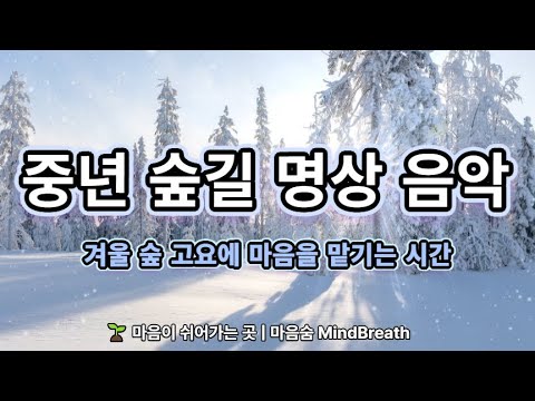 🌲 중년을 위한 숲길 명상 음악 | Healing Meditation Music 🌱 매일 아침 9시 · 저녁 9시, 중년의 하루를 지켜주는 치유 명상｜마음숨 🍃#중년명상#중년힐링