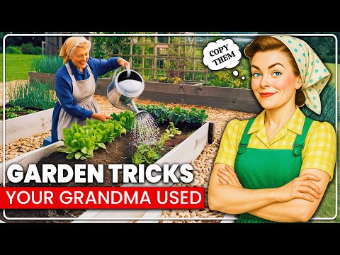 27 Ways Your Grandma Grew MORE Food From LESS Work