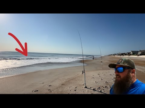 SURF FISHING with SHRIMP non-stop action! Anyone can do this! Best fish sandwich EVER