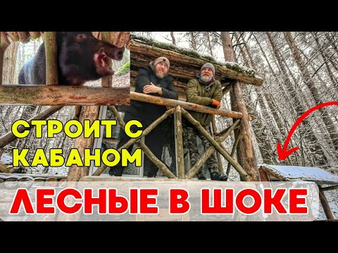 He built a house in the forest and lives with a wild boar! The forest dwellers are shocked!