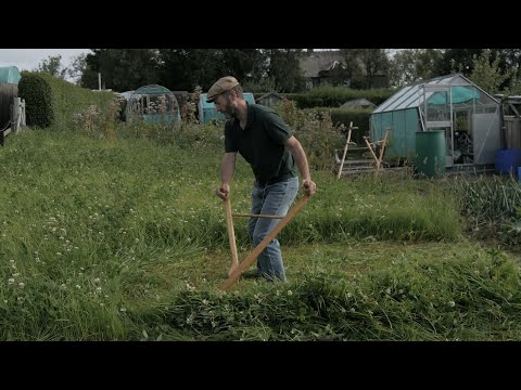 Making a little hay with a Scottish scythe