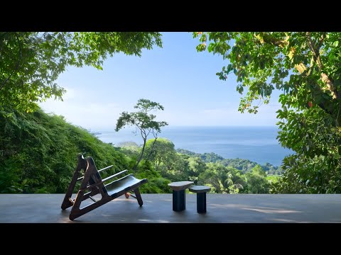 Inside a concrete house floating above the Costa Rican jungle