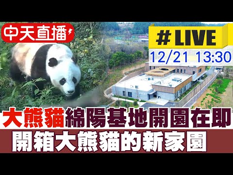 【中天直播#LIVE】大熊貓綿陽基地開園在即 探訪大熊貓的新家園 20251221 @全球大視野Global_Vision