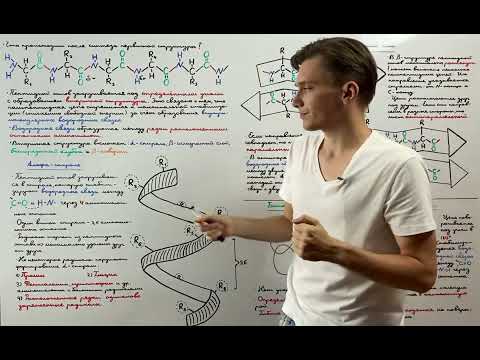 Вторичная структура белка