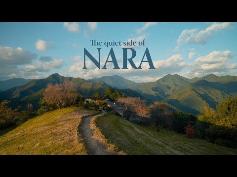 Beyond the Deer Park — The Quiet Side of Nara in Fall