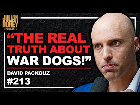 Arms Dealer on Israel, Chinese Weapons & Losing $300 MILLION | David Packouz • 213