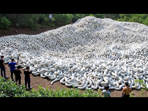 Kakaibang Pangyayari sa Mundo