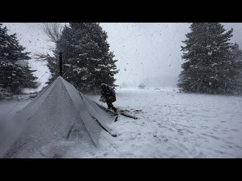 Caught in a Storm - Winter Camping in a Snowstorm with Dogs, Snow, Windy, Bad Weather