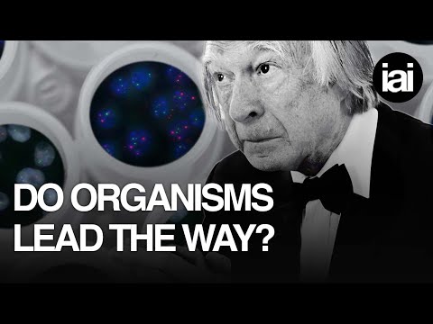 The life and philosophy of Denis Noble | rival of Richard Dawkins