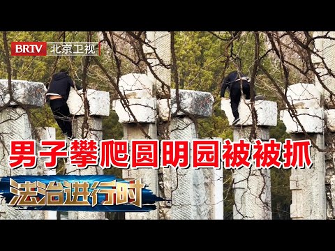 老人失足掉入地窖 拍卖公司诈骗老人终受审 男子违法攀爬圆明园遗址被抓  【法治进行时】