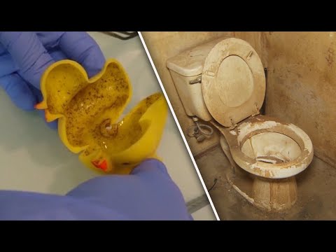 The Grossest Things We’ve Ever Seen