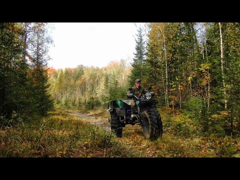 Шурф распашки серебряных монет #447