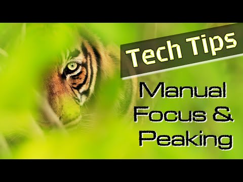 Using Manual Focus, AF Peaking, MF Peaking hints and tips for sharp images in mirrorless cameras