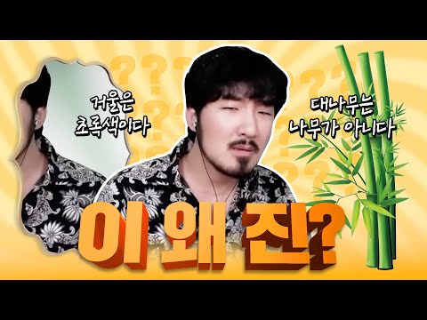 이게 왜 진짜야? 월드컵