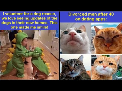 Wholesome Animal Memes That’ll Instantly Boost Your Mood | Happy And Fun