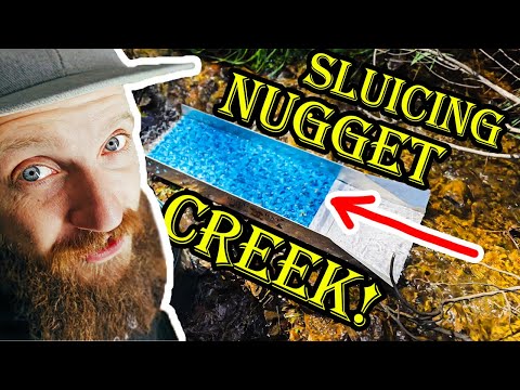 They Left All of This Gold Just Laying On The Ground!