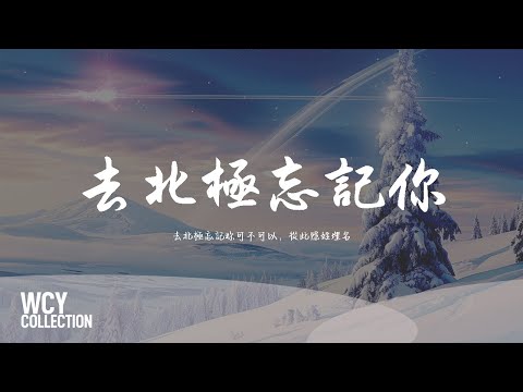 Gareth.T - 去北极忘记你「去北极忘记妳可不可以,从此隐姓埋名」【動態歌詞/pīn yīn gē cí】
