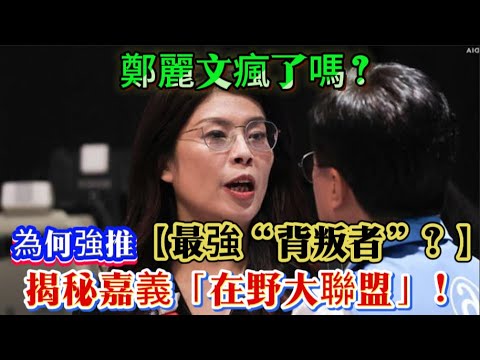 驚爆！鄭麗文重組 “在野大聯盟” 棄藍推「局外人」，綠營 20 年鐵票倉要崩塌？#鄭麗文