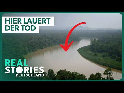 Warum ist Borneo das gefährlichste Paradies Südostasiens?