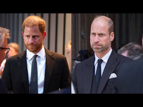 ‘There’ll be hell to pay’: Harry’s bombshell move spells ‘the end’ of Prince William relationship