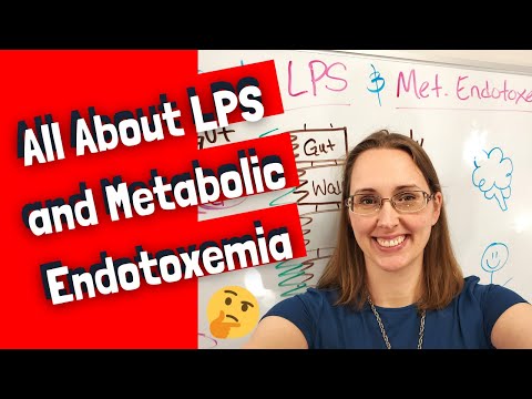All About LPS and Endotoxemia