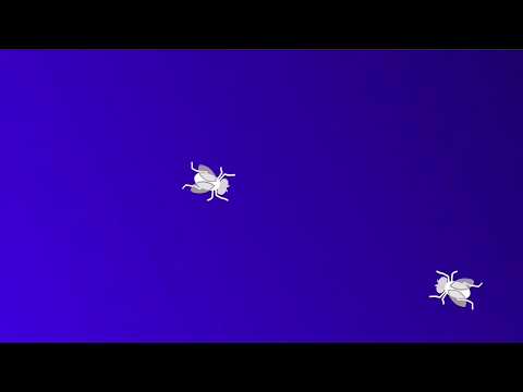 Animating the Wallpaper - My own attempts!