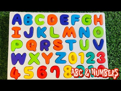 Find ABC Letters & Numbers with Toys | Fun Learning for Kids |