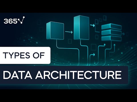 What Are the Different Types of Data Architecture?