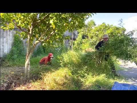 👉 Exhausted but Silent: We Cleaned a Power Plant Sidewalk — A Shocking Transformation. #cleanup