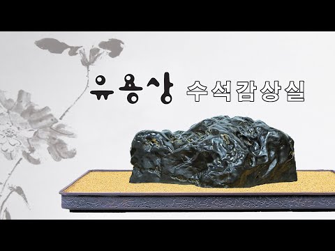 [수석의미tv].의학박사 유용상 수석감상실.낙월도 수석의 진수.곽창근(010-5446-4832)