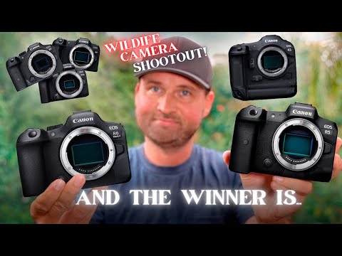 LUXURY vs NECESSITY | Don't WASTE YOUR MONEY On The WRONG CAMERA! | Canon Wildlife Camera Guide
