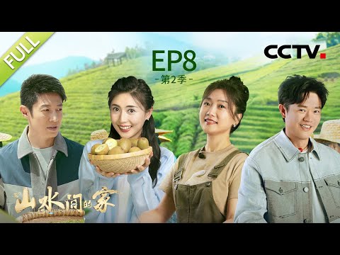 【Full】凤凰传奇、撒贝宁品尝苏轼点赞过的茶，任鲁豫吃野生猕猴桃酸出表情包 | CCTV「山水间的家 第二季」第8期 20230930