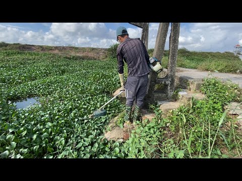 clean change, cut grass, turn off the drain, protect the environment