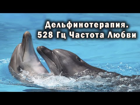Лечебные песни дельфинов. Восстановления Энергии, Снятия Стресса и Глубокого Сна