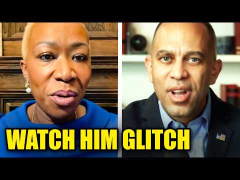Jeffries STAMMERS Uncontrollably As Joy Reid DEMANDS ICE Solution