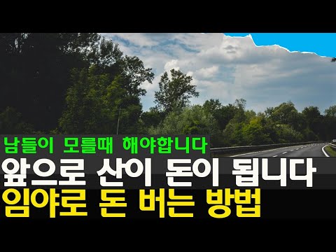 (이슈)임야로 돈버는 방법 알고 싶다면 이것부터 체크하세요 한국에서 땅부자가 되려면 산이 최고지!