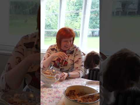 This Dog Has a Plan for Apple Crumble 😂🍎