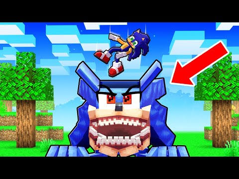 What's Inside Shin Sonic's Head in Minecraft?