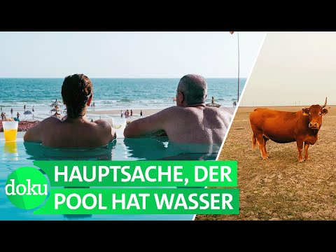Spanien trocknet aus: Im Kampf gegen die Wasserknappheit | WDR Doku