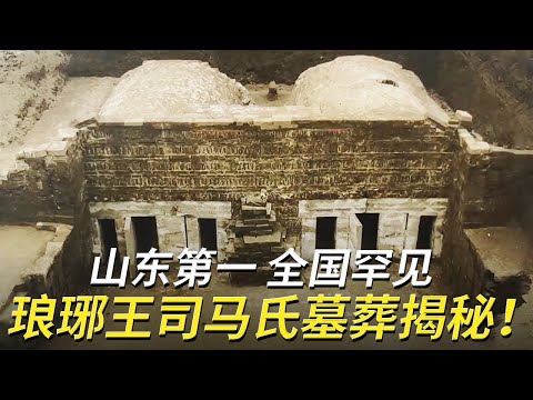 池塘下挖出山东最大规模晋墓！早夭的琅琊王尸骸 戴满金饰的冥婚女童 不料种种推测竟被全部推翻！——琅琊王司马氏家族墓特辑  | 中华国宝